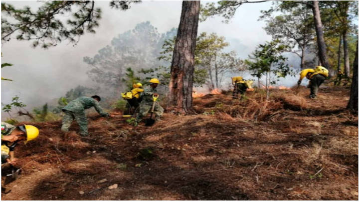 México arde con 46 incendios forestales a lo largo del país