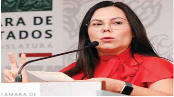 La legisladora Laura Rojas, presidenta de la Cámara de Diputados, pide una corrección de las estrategias de la Campaña " Cuenta hasta 10"