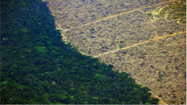 La Amazonía ha sido devastada por terribles incendios