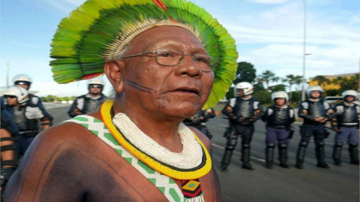 El legado histórico cultural de Brasil, La Amazonia