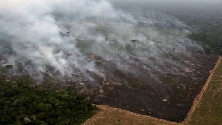 Corporaciones estadounidenses son las que están destruyendo la Amazonía.