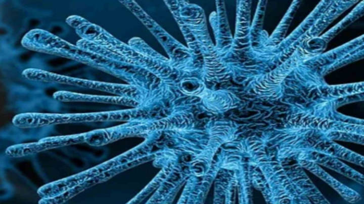 Cientificos comprueban la presencia del nuevo virus de coronavirus